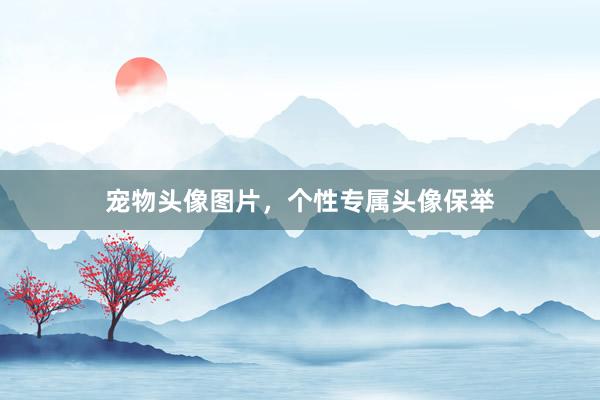 宠物头像图片,个性专属头像保举