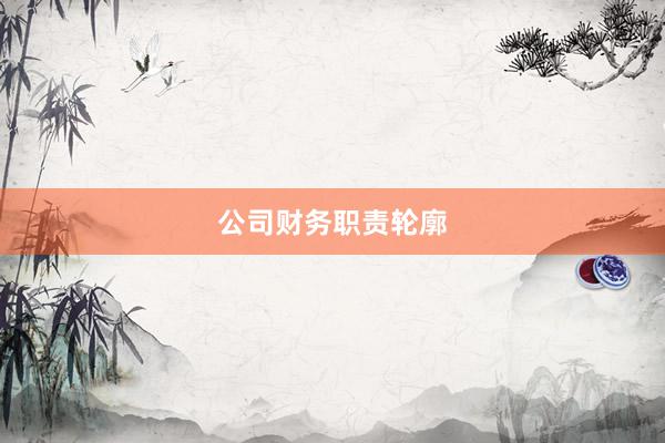 公司财务职责轮廓