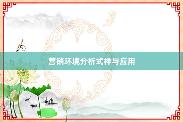 营销环境分析式样与应用